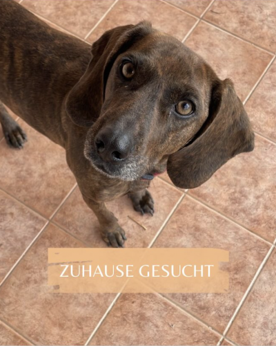 Bildschirmfoto 2026-02-08 um 20.58.32