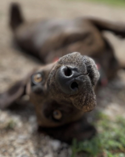 Bildschirmfoto 2026-02-08 um 21.03.27