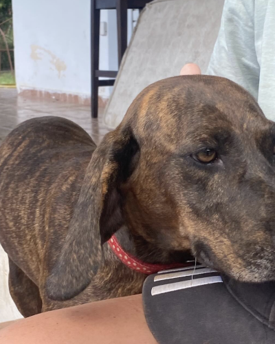 Bildschirmfoto 2026-02-08 um 21.03.42