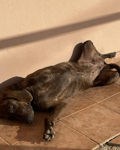 Bildschirmfoto 2026-02-08 um 21.03.52